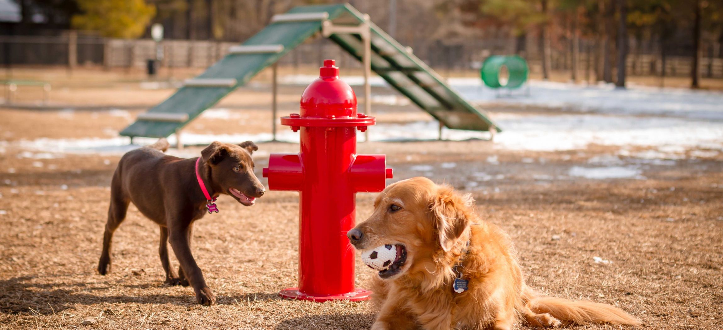 Fire Hydrant Mister